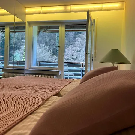 Black Forest באד הרנאלב