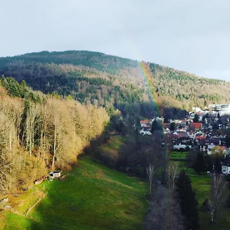 Black Forest דירה