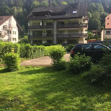 Black Forest Apartment Bad Herrenalb