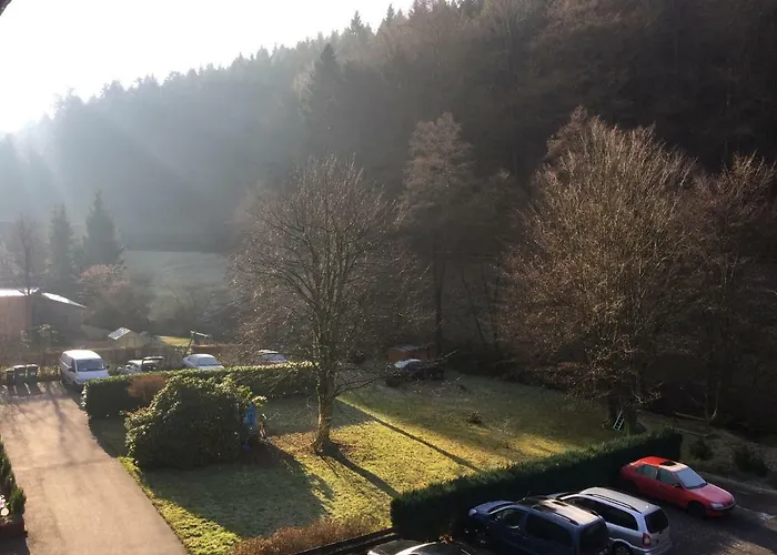 Black Forest Lägenhet